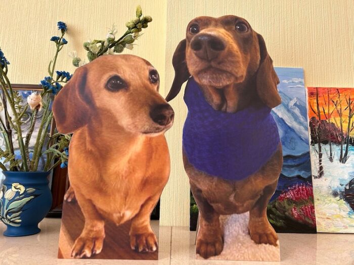 Pet cardboard cutouts - Image 3