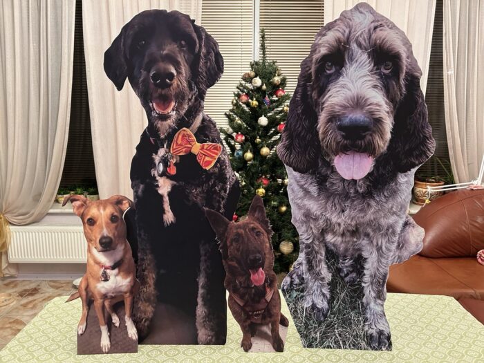 Pet cardboard cutouts - Image 2