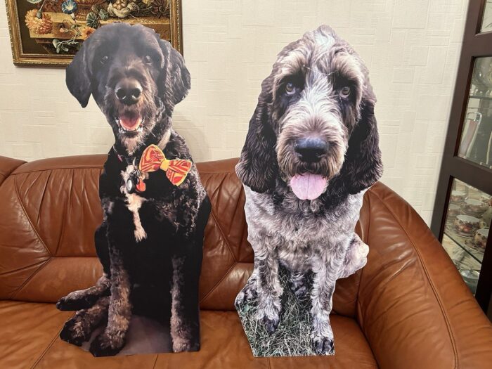 Pet cardboard cutouts